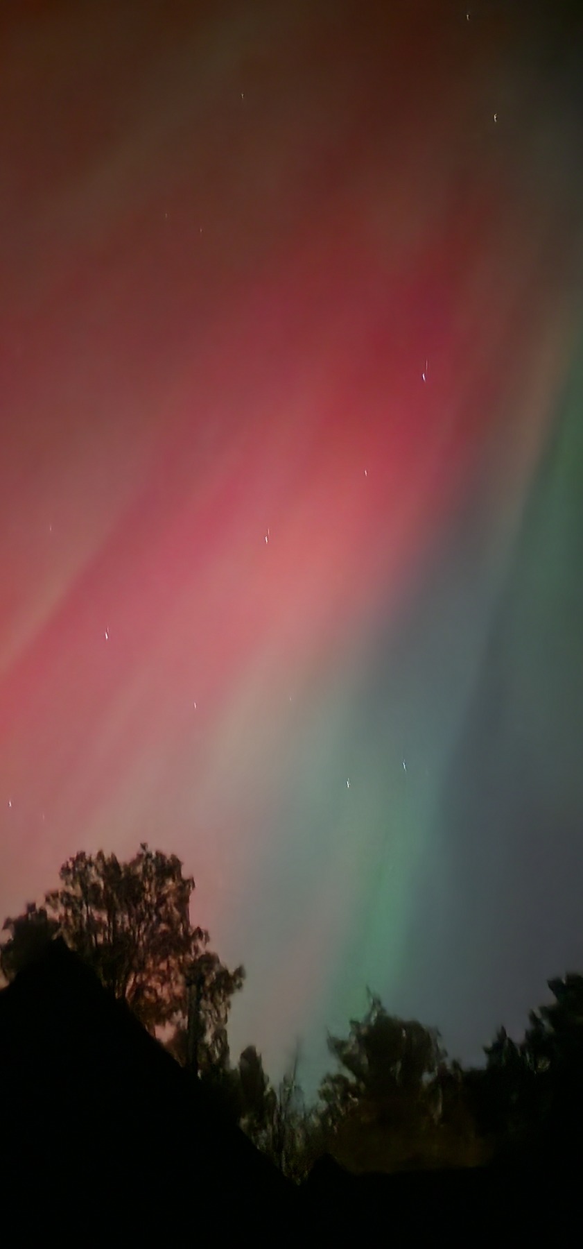 the northern lights from my backyard